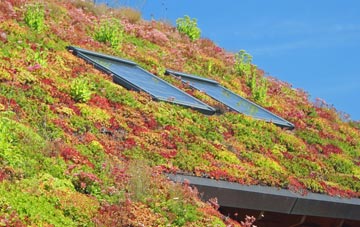 Grove Green living roof systems